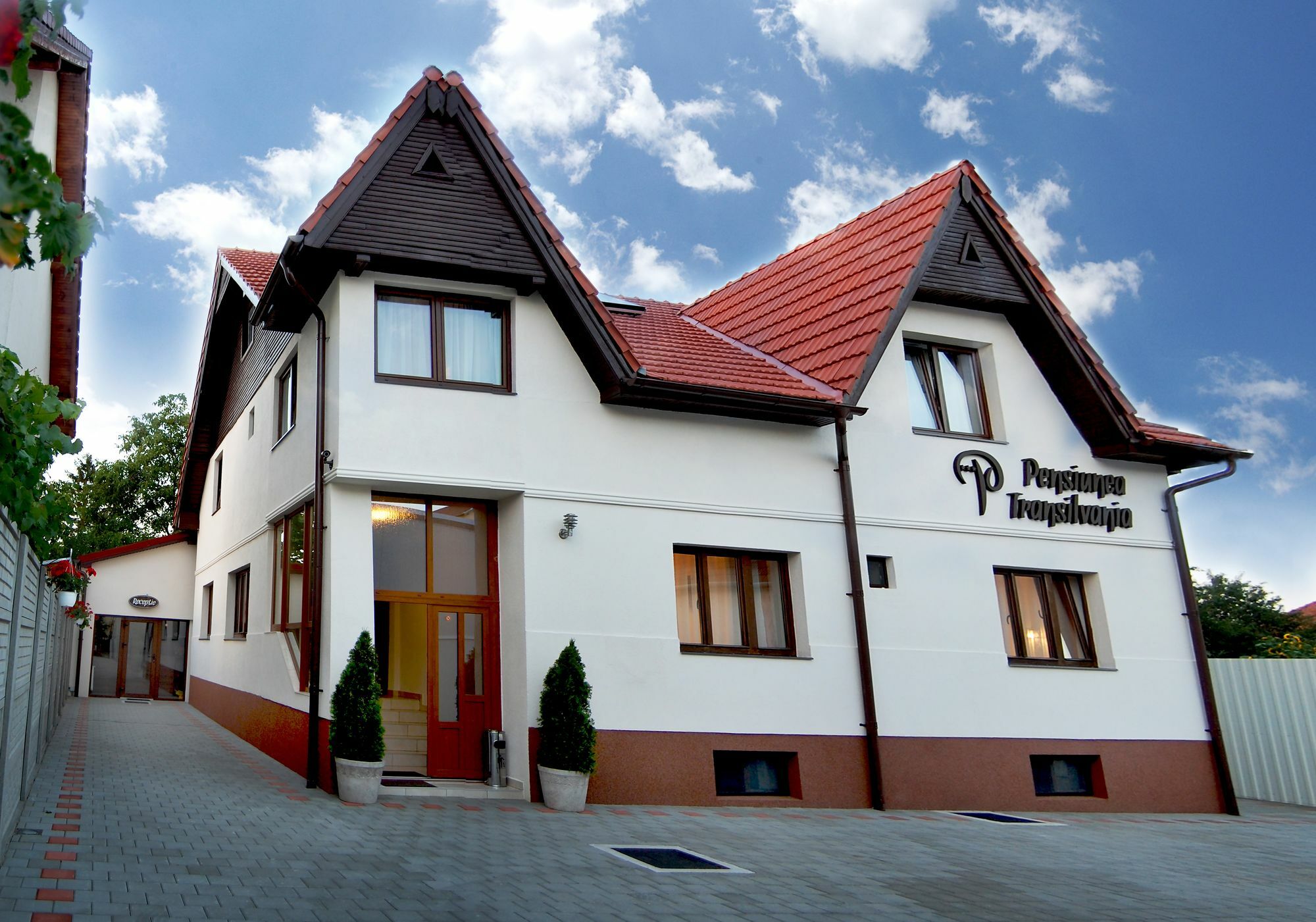 Pensiunea Transilvania Сибиу Экстерьер фото